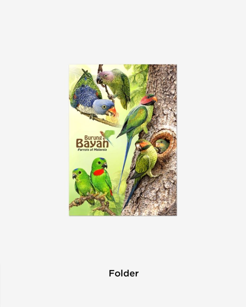 BURUNG BAYAN EMPTY FOLDER 
