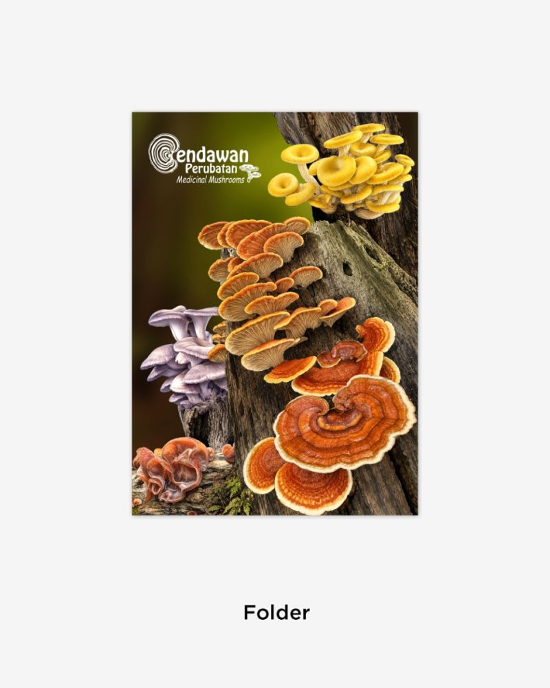 CENDAWAN PERUBATAN EMPTY FOLDER 