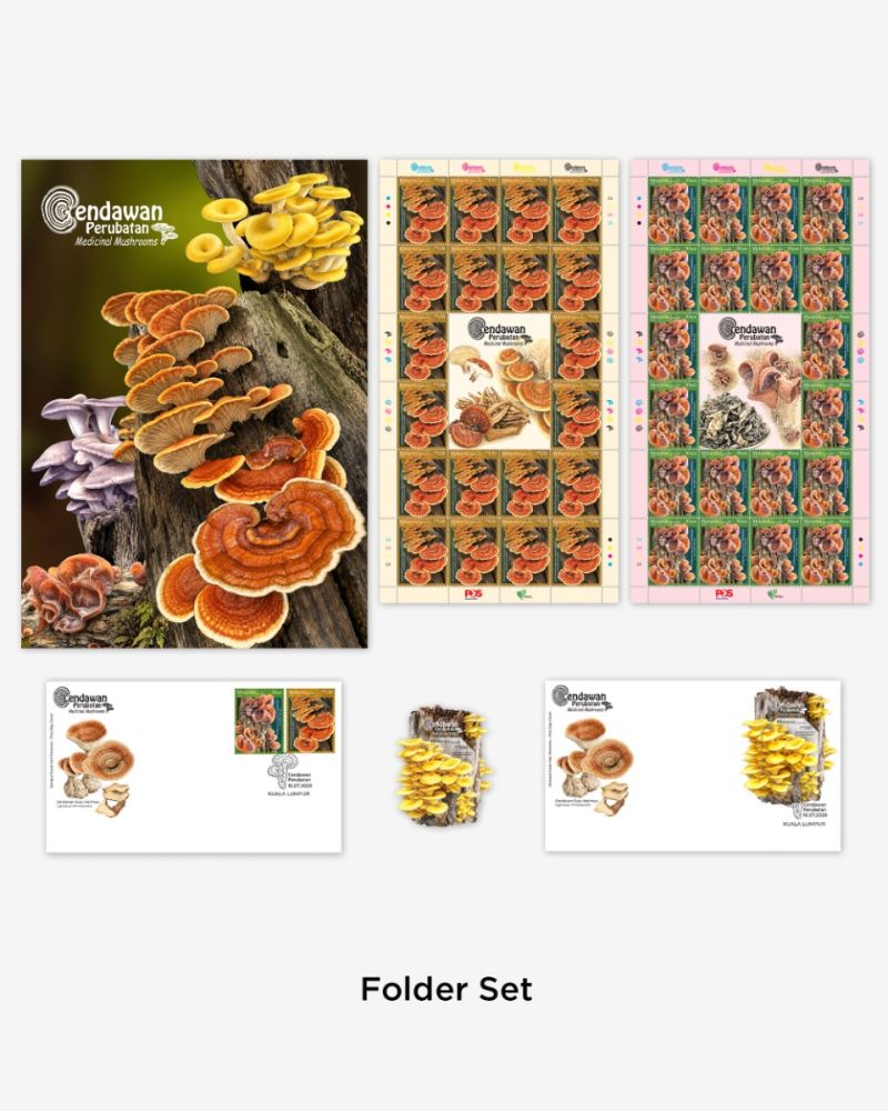 CENDAWAN PERUBATAN FOLDER SET