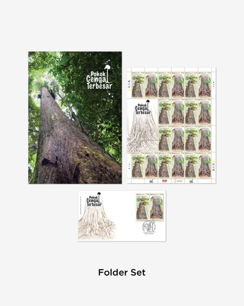 POKOK CENGAL TERBESAR FOLDER SET